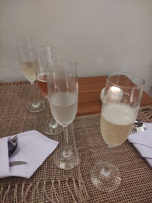 Different fermented drinks we tried at Wild Vegan in Ubud