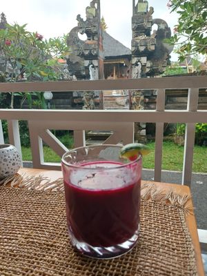  at Wild Vegan in Ubud
