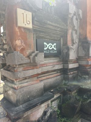   at Wild Vegan in Ubud