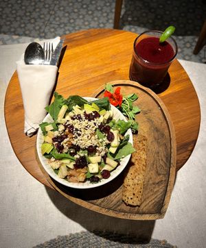 Salad with beet juice  at Wild Vegan in Ubud