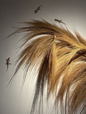   at Wild Vegan in Ubud