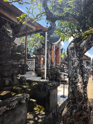  at Wild in Ubud