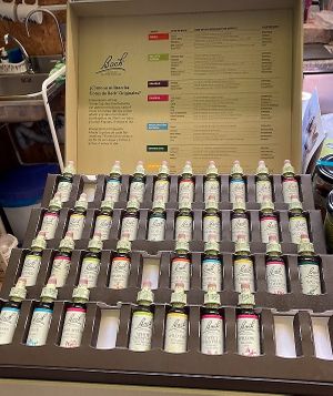  at La Canela Biocentro in Madrid