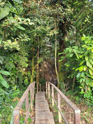 the way to the dorms😊 at Pacifico Hostel in Juanchaco