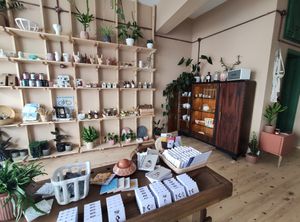  at equanimous concept store in Pefkochori