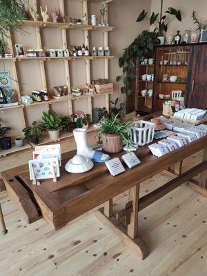  at equanimous concept store in Pefkochori