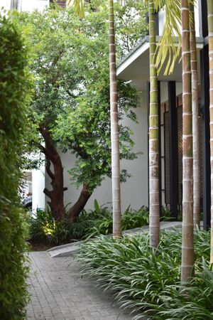  at Pāramitā in Chiang Mai