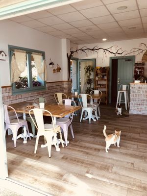   at A Braña Restaurante & Bar in Lires