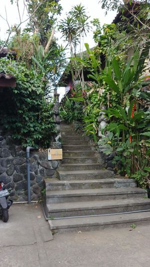 after heading down a narrow road, you go up these steps - so you're far from the main road. at Siboghana Waroeng in Ubud