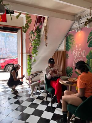  at Satiba Therapy Coffee Shop in Arequipa