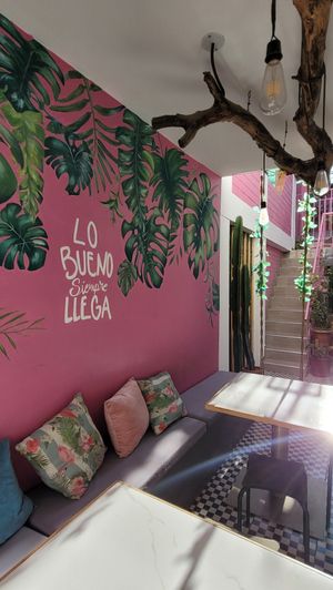  at Satiba Therapy Coffee Shop in Arequipa