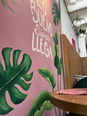   at Satiba Therapy Coffee Shop in Arequipa