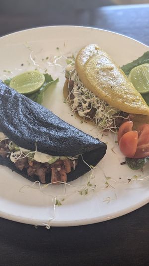 Quinoa Tacos 🌮 at Satiba Therapy Coffee Shop in Arequipa