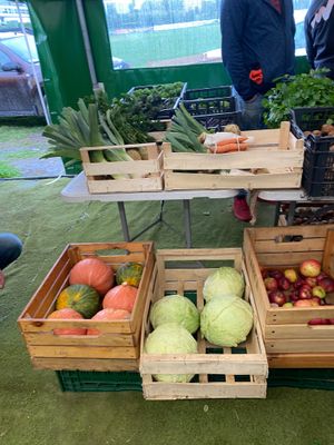  at Zielony Targ in Poznan