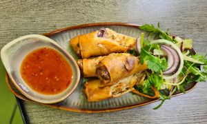  at Udonge Vegan Cuisine in Potsdam