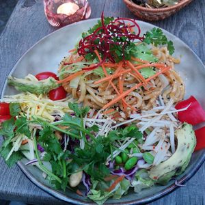  at Udonge Vegan Cuisine in Potsdam