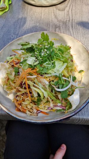  at Udonge Vegan Cuisine in Potsdam