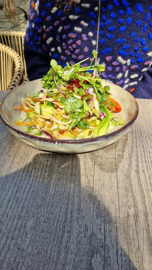  at Udonge Vegan Cuisine in Potsdam