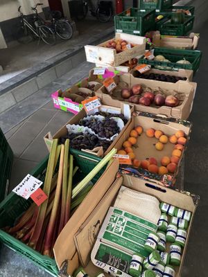   at Biotoop in Leuven