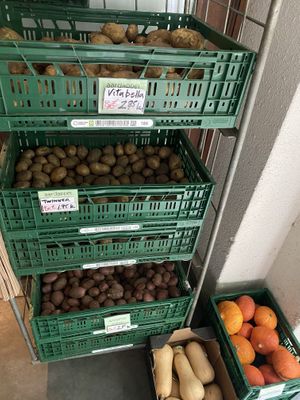   at Biotoop in Leuven