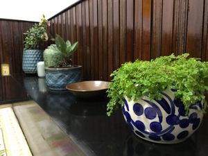  at Tiem Chay Vo Uy in Da Lat