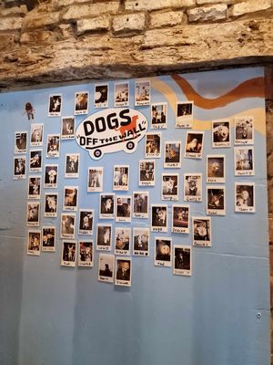  at Junk Soul Smothered Bar & Grill in Beverley