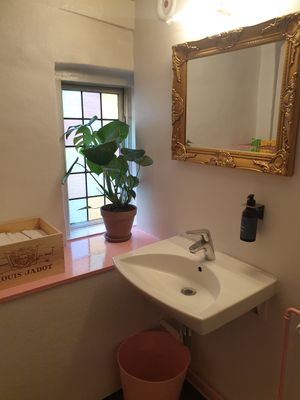 Toilette in lovely pink at V'italian in Copenhagen