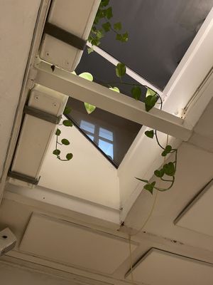   at V'italian in Copenhagen