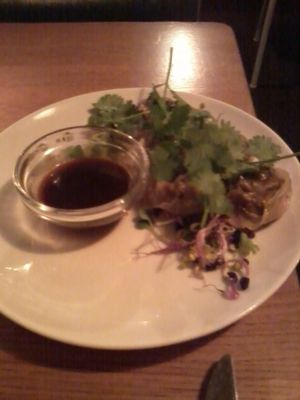 Wantan and erdnuss sauce at Gratitude Restaurant in Munich