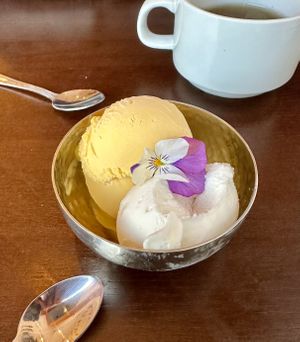 Seriously creamy, fresh mango and lemon ice cream 🥭🍋☁️👌🏼  at Amrutha - Honor Oak in South East London