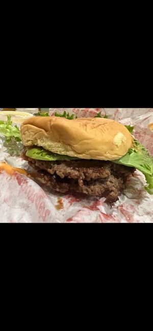 Double veg patty  at Moonburger in New Paltz