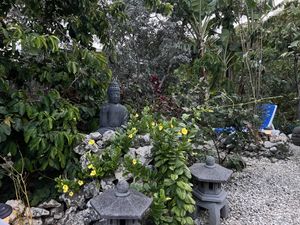 Outdoor seating  at Oasis Ital and Nursery in Parish Land