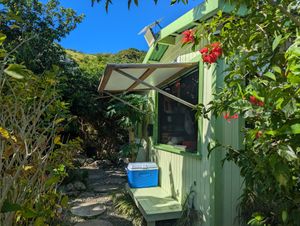  at Oasis Ital and Nursery in Parish Land