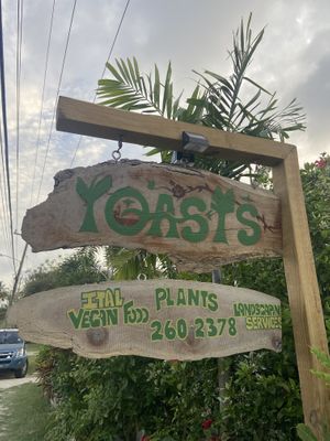   at Oasis Ital and Nursery in Parish Land