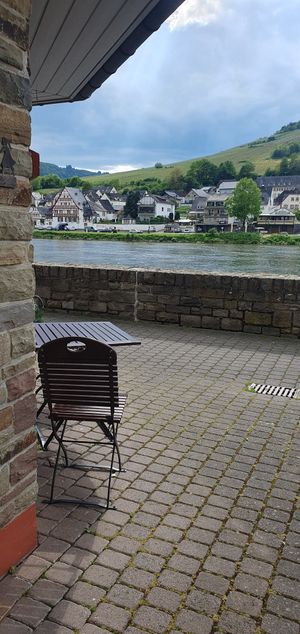 View of the Mosel at Imbiss Mosel-Pavilion in Zell