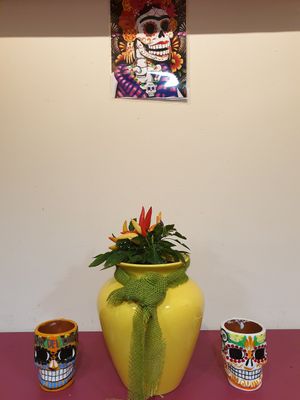  at Taco Meister in Berlin