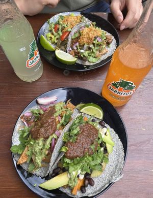   at Taco Meister in Berlin