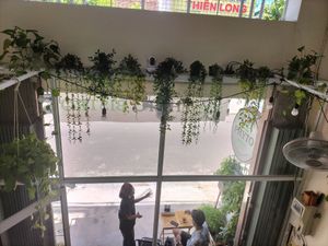  at Phyto Bistro in Nha Trang