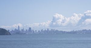 Sunny day view from back patio at Malibu Farm Tiburon in Tiburon