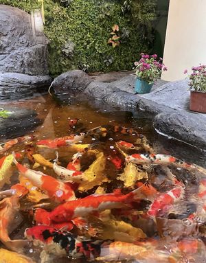   at Nhà Hàng Chay Bụt Việt in Nha Trang