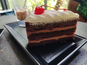 Black forest cake at The Habitat Cafe and Retail in Penang