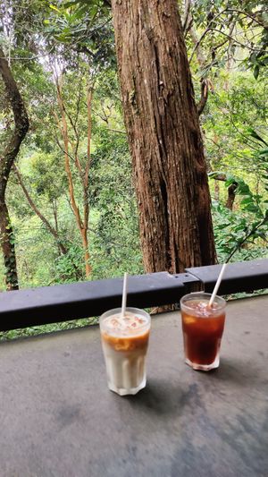  at The Habitat Cafe and Retail in Penang