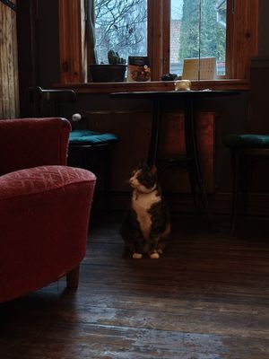  at Valhalla Wine & Coffee, kafejnīca in Liepaja