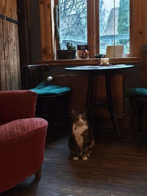  at Valhalla Wine & Coffee, kafejnīca in Liepaja