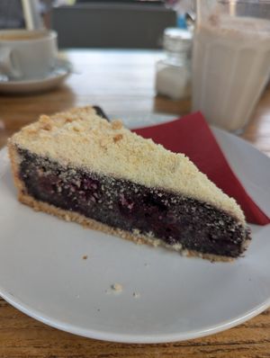 semolina poppy seed cherry cake at 5 Senses Coffee - Wiesentalstraße in Freiburg