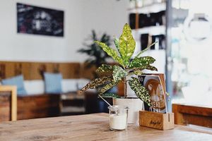  at 5 Senses Coffee - Wiesentalstraße in Freiburg