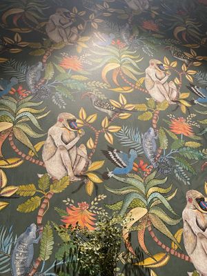   at ZEITGEIST Café in Lyon