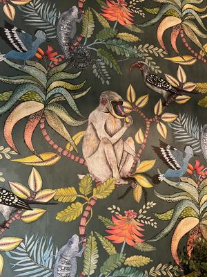   at ZEITGEIST Café in Lyon