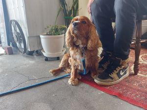  at Yam Kitchen in Miyazaki