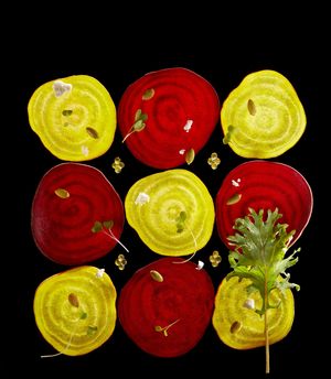  at Maiden: Fine Plants & Spirits in Fort Worth